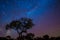 African Night Sky