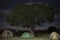 African night tents under tree