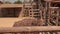 African ostrich in an aviary on a ostrich farm. Ostriches on a bird farm