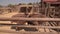 African ostrich in an aviary on a ostrich farm. Ostriches on a bird farm