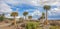 African panorama landscape with Quivertree forest and granite rocks with dramatic sky. Namibia