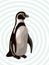 African penguin on abstract background. Vector illustration