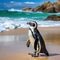 African penguin on the beach