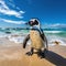 African penguin on the beach