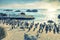 The African penguin colony at Boulders Beach, the early morning sun reflecting off the water, penguins standing on the beach and