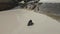 African Penguin play with seaweed at Boulders Beach near Simons Town