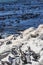 African penguin on the rocks near the ocean in Betty`s Bay, Western Cape, South Africa