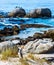 African penguins on the beach