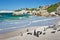 African penguins, Boulders Park, South Africa