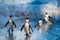 African penguins swim in the blue water of the ocean and foam of the surf.African penguin Spheniscus demersus also known as the