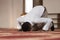 African Prayer At Mosque