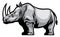 African Rhino