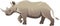 African Rhino, Rhinoceros African Wild Life Animal - Vector Illustration