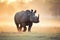 african rhino silhouetted by sunrise in savanna