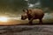 African rhinos walking on dirt field against beautiful sun set s