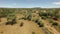 African rift valley savannah bush landscape in dry season on hot sunny windy day