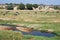 African river landscape with group elephants