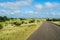 African road in savanna, South Africa