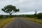 African road in savanna, South Africa