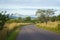 African road in savanna, South Africa