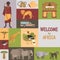 African safari color flat icons set