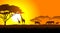 African savanna an evening landscape