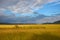 African savanna landscape, Masai Mara, Kenya, Africa