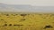 African Savanna Landscape Scenery Aerial Shot, Amazing Beautiful Masai Mara in Africa, Kenya Hot Air