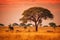 African Savanna Sub-Saharan Grassland