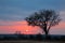 African savanna sunrise