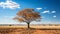 African savannah dry, arid, yellow, acacia tree, tranquil, remote generated by AI