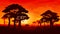 African savannah sunset landscape silhouette