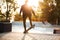 African skateboarder skating on a concrete skateboarding ramp