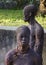 African Slave trade statue