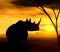 African Spirit - The Rhino