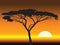 African sunset background. illustration