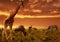 African sunset background with silhouette of animals