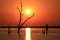 African sunset over the lake Kariba