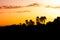 An African Sunset over the Wetlands and palm covered islands of the Okavango