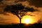 African Sunset. Tanzania, Africa