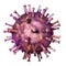 African swine fever virus