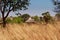 African traditional village with the thatch and earthen walls in southern Africa, Zimbabwe, Zambia, Botswana, Namibia, Kenya