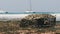 African Trap for Catching Fish and Starfish in Shallow Water, low tide, Zanzibar