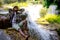 African traveler man sitting and relaxing freedom with waterfall