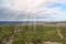 African vast landscape of bushveld and grassland