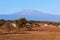 An african village in front of the Kilimanjaro