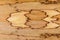 African walnut natural wood texture