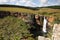 African waterfall, one of the most frequented waterfall in Drakensberg. Berlin waterfall in times of drought