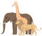 African wild animals. Elephant, giraffe and lion together