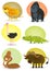 African Wild Animals Set